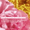 Yves Rocher Tratamiento Riche Creme Nutri Extra Regenerante Bálsamo Nutritivo