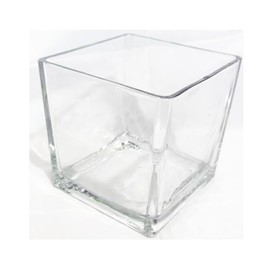 Decorative Glass Flower Vase, 4x4x4 inches, Square, Clear Centerpiece
