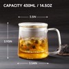 COPOTEA Glass TeaCup with Glass Infuser and Lid, 14.5oz/ 430ml