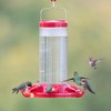 Perky-Pet 220 The Grand Master 48-Ounce Hummingbird Feeder