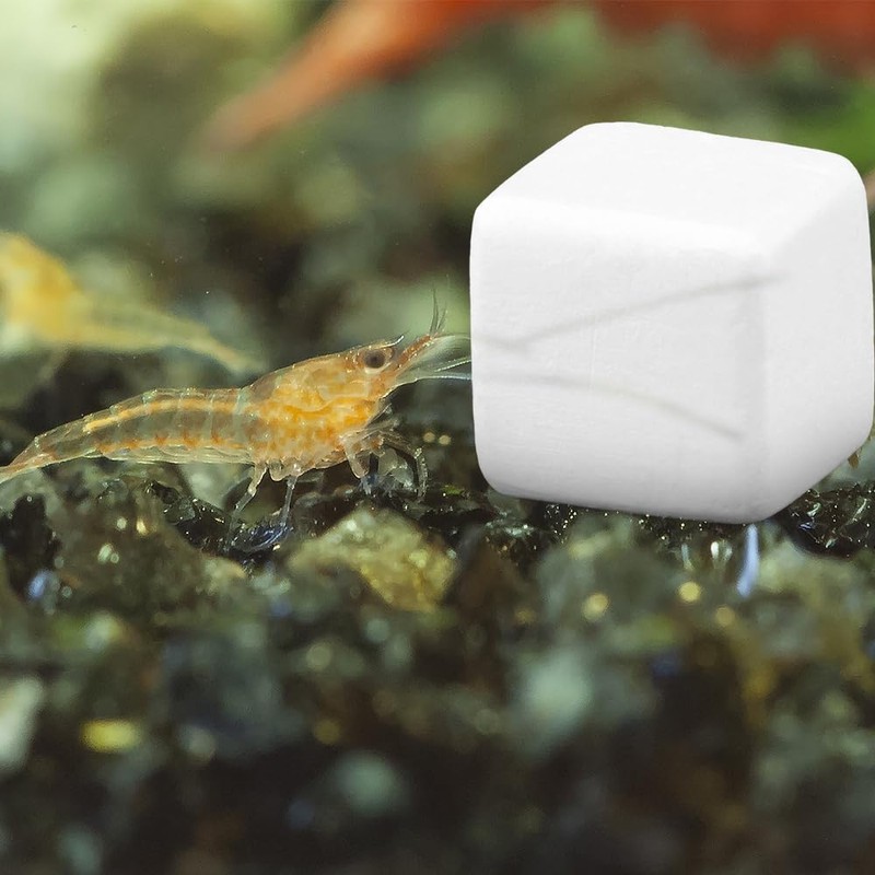 DQITJ 18 Pcs Small Reptile Calcium Stone Natural Calcium Mineral