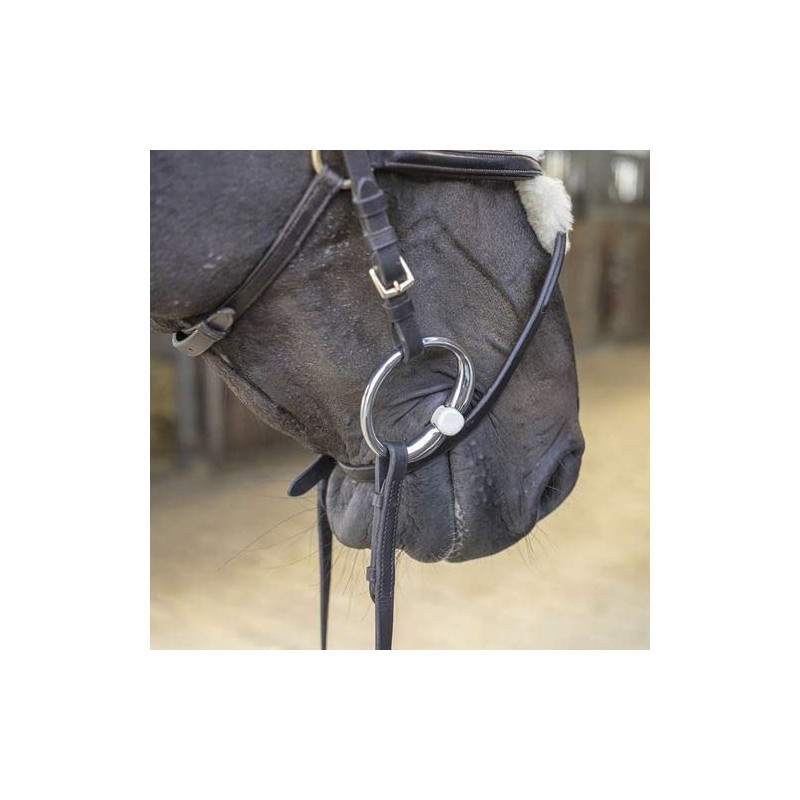 Sprenger Plastic Olive Head Rod Bit Duo