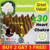 Benben Home & Lifestyle Jasmine Benben US Incense 30xBackflow ~