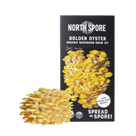 North Spore North Spore Organic Golden Oyster Mushroom Spray & Grow Kit (4 lbs) | USDA-Certified Organic, Non-GMO, Beginner-Friendly & Easy to Use | Handmade in Maine, USA