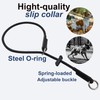 Slip Collar for Small & Medium Dogs, 1/4" Nylon Rope
