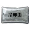 AITOZ AZ865933 101 Silver F Ice Packs, Set of 4,