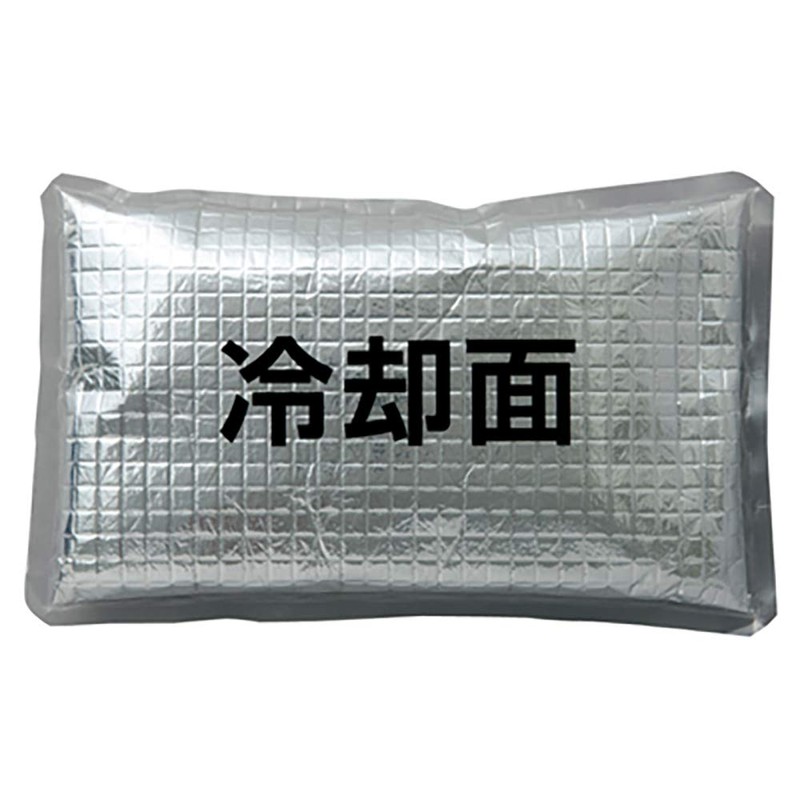 AITOZ AZ865933 101 Silver F Ice Packs, Set of 4,