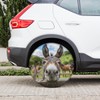 Spare Tire Cover Elegant Donkey Wheel Covers Protectors Waterproof Dust-Proof
