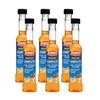 Gumout 510014 Regane Complete Fuel System Cleaner, 6 oz. (Pack