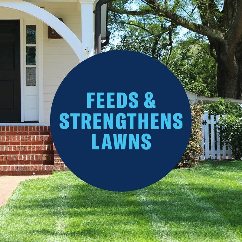 BioAdvanced 3-in-1 Weed and Feed for Southern Lawns, Granules, 10