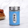 Salt and Pepper Shakers Stainless Steel and Glass Set with