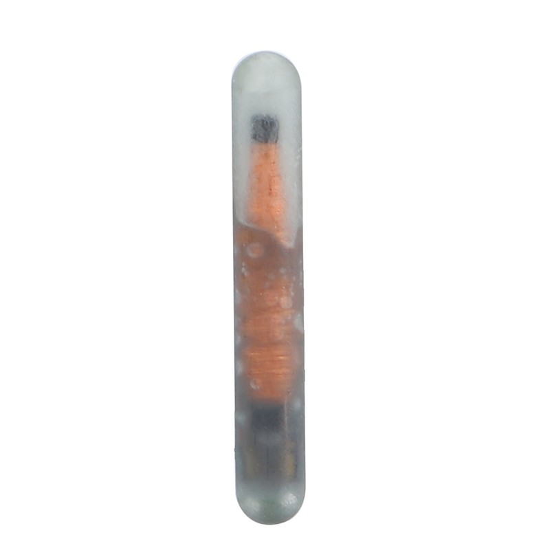 10pcs 1.25mm Pet Microchip Animal Label Glass Tube Chip Mini