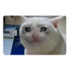 Sad Cat Meme Card Sticker | Key, Debit, Credit Card