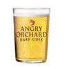 Beer Snob Barware Angry Orchards Signature Cider Pint Glass -