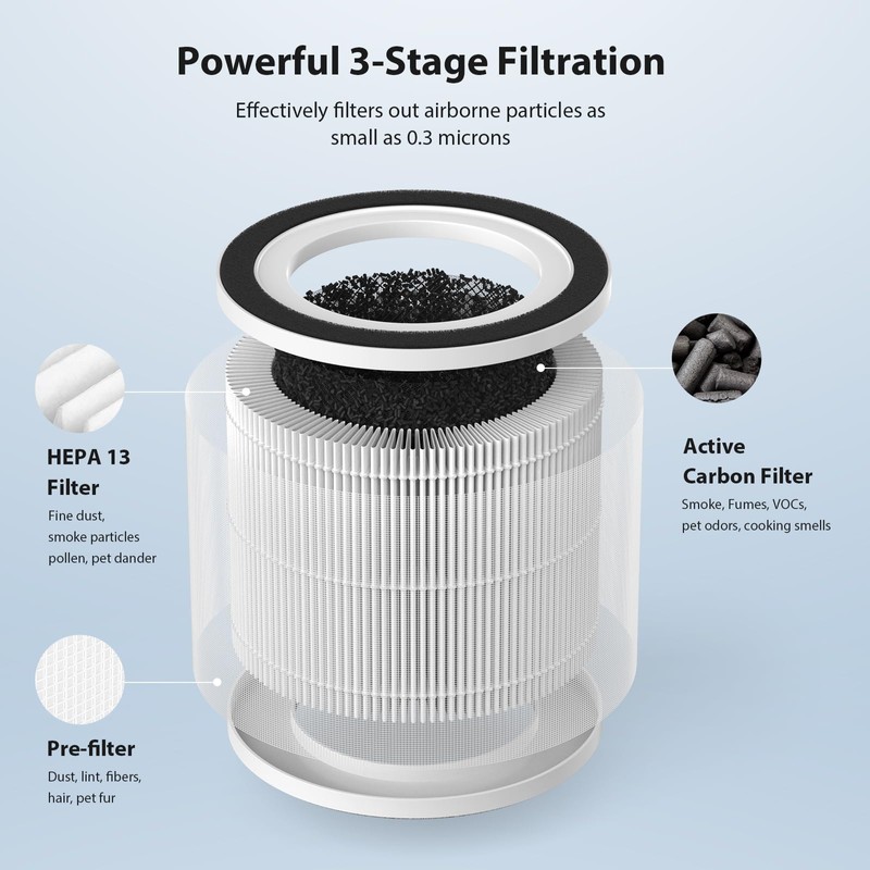 2 Pack True HEPA Replacement Filter for HIMOX H06 &