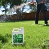 Simple Lawn Solutions - Liquid Iron Fertilizer Darker Green -