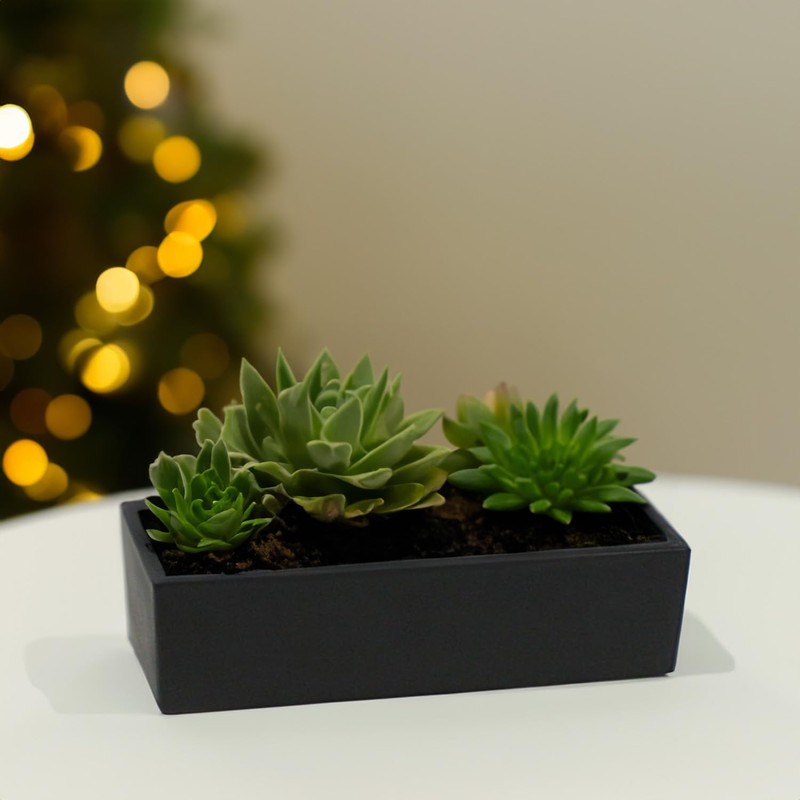 WGVI Long Rectangle Ceramic Planter Vase in Black 14" x