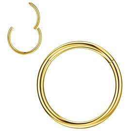 PunkTracker 1Pcs 20G 18G 16G 6/7/8/9/10mm Cartilage Tragus Helix Earring Hoop Stainless Steel Nose Rings Nose Piercings Helix Conch Septum Jewellery - Silver/Gold/Rose Gold