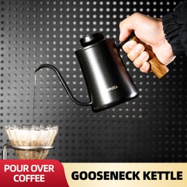 NEOUZA Pour Over Coffee Goose-Neck Kettle, 600ml, with High-Precision Thermometer | 304 Stainless Steel | Ergonomic Wooden Handle | Versatile Heating Options | Easy to Clean (Mechanical)