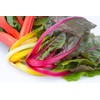 NIKA SEEDS - Vegetable Swiss Chard Mix - 100 Seeds