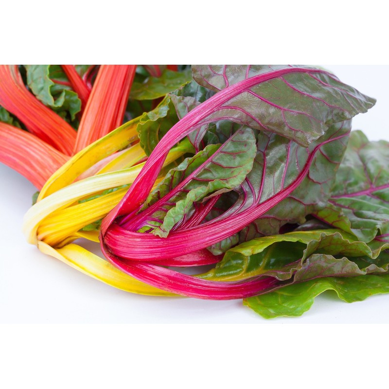 NIKA SEEDS - Vegetable Swiss Chard Mix - 100 Seeds