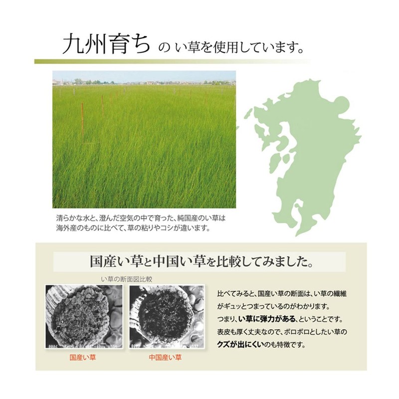 Ikehiko "Sayaka" igusa nap mat.