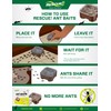 RESCUE! Ant Baits - 6 Pack - 24 Bait Stations