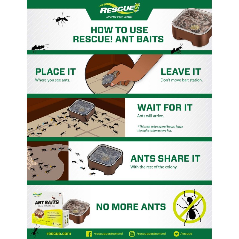 RESCUE! Ant Baits - 6 Pack - 24 Bait Stations
