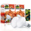 REP BUDDY 2 Pack Reptile Heating Bulb 100W with Sticked