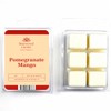Sherwood Garden Home Fragrances Pomegranate Mango Soy Wax Melts 70