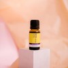 ECO. Modern Essentials Lemon Pure Essential Oil, 10ml