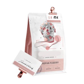 YUCHIYA 20 Pack Metal Clips with 20 Push-pins for Corkboard,Bulldog Clips for Hanging Pictures,Small Hinge Clips for Photos Crafts,Mini Binder Clips Paper File Clamps(1.25 Inch,Rose Gold)