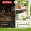 Peppermint Rodent Repellent Pouches for Home – 10 Pack Mouse