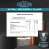 Creatina Monohidratada 100% Pura Sin Sabor 500 G I 100