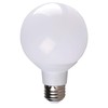 Simply Conserve 6 Watt LED Globe Light Bulbs, 24-Pack Bulk,