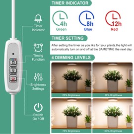 LORDEM Grow Light for Indoor Plants, 48 LEDs Ceiling Full Spectrum Plant Light, 5V Corded Growing Lamp with 4/8/12H Auto Switch, 4 Dimmable Brightness Levels, Ideal for Small Plants