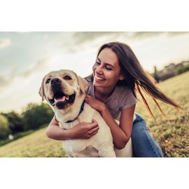 dog incontinence female - DOG URINARY TRACT SUPPORT - NATURAL CRANBERRY SOLUTION - BLADDER HEALTH - VET RECOMMENDED - cranberry wellness powder for dogs - 3 Bottle (270 Treats)