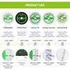 Mini 3 inch Diamond Blades - FACHLICH Cutting Disc for
