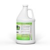 Nit Free Head Lice and Nit Eliminating Mousse and Glue