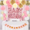Ouddy Party Pink Baby Shower Decorations for Girl with Its