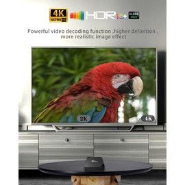 Puersit Android 10.0 TV Box, Allwinner H313 Quad-Core 64bit Quad Core Arm Cortex A53 CPU,2GB RAM 16GB RAM G31 OPenGL 3.2 Unterstützt 2,4GHz WiFi mit 4K UHD und 100M LAN Ethernet Android Box