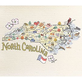 Wet-It! Swedish Dishcloth States (North Carolina)