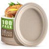 Gezond 100% Compostable Oval Paper Plates 12 Inch 100 Pack
