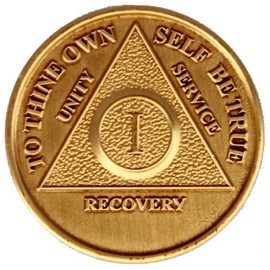 SET OF 5 MEDT AA Recovery Medallions YEARS 1, 2, 3, 4, 5 All 5 Anniversary / Birthday Coins Commemorative