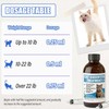 Cat Gingivitis Treatment Liquid 100ml - Cats Dental Care Clean