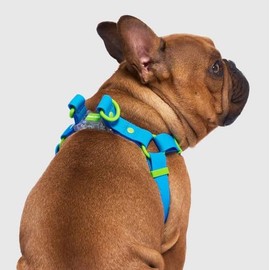 Canada Pooch Waterproof Dog Harness