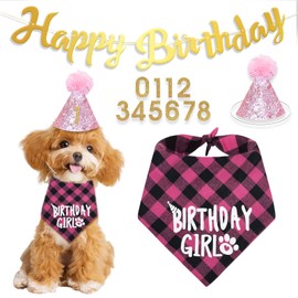 Dog Birthday Hat, Birthday Bandana Dog Birthday Party Supplies with Numbers Pet Birthday Bandana Hat Set (Pink)