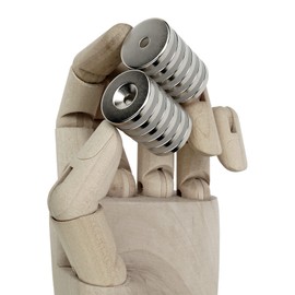 Sensei Ring Neodymium Magnets 20 x 3 mm with Opening for Screw, Maximum Load 4.5 kg + 12 Wood Screws Set of 12