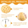 Esponjas de Baño Naturales para Bebé en Forma de Panal