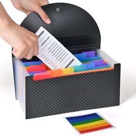 Cesil Accordion File Organizer, 13 Pocket Expanding File Folder, 10.2"x5.1" Small Receipt Organizer for Business, Coupon Document Holder, Portable Folder Organizer for Home Office School, Black